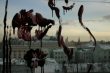     (Anna Brochet)   2 (, )