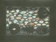  .   . 39,549,5 ., . , 2001.