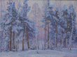    (Anatoly Borisov).  .